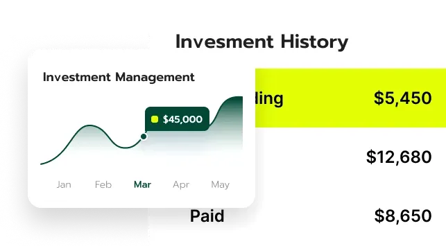 Instant Zelvix 5E capital financiero